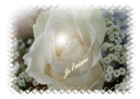 je t'aime S